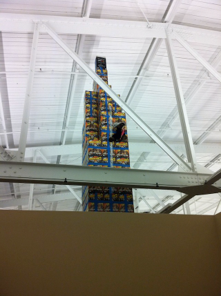 Illustration for article titled Kneel Before This Massive Tower Of Borderlands 2 Boxes